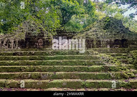 La giungla che prende sopra le antiche rovine Maya, il Parco Nazionale di Tikal, Petén, Guatemala Foto Stock