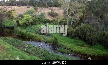 Merri Creek a Clifton Hill, Melbourne, Victoria, Australia Foto Stock