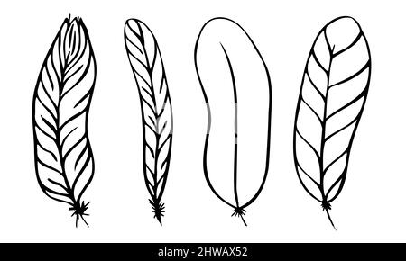 set di piume diverse scritte a mano in bianco e nero 3 Illustrazione Vettoriale