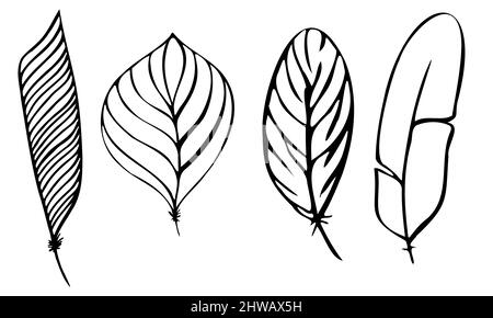 set di piume diverse scritte a mano in bianco e nero Illustrazione Vettoriale