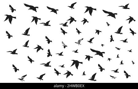 Set di corvi. Una collezione di corvi neri. Silhouette di un corvo volante. Illustrazione vettoriale della silhouette dei corvi. Grunge uccello tatuaggio. Illustrazione Vettoriale