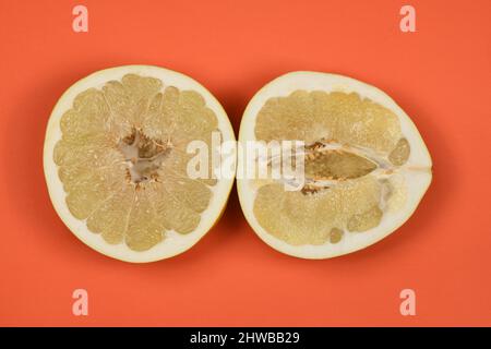 Pomelo perfettamente ritoccato su sfondo rosso. Foto ad alta risoluzione. Profondità di campo completa. Foto Stock