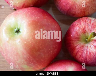 Macro foto di mele rosse mature di gala e Ligol. Primo piano Apple. Foto Stock