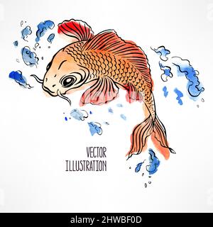 bella carpa arancione e rossa isolata su sfondo bianco. illustrazione disegnata a mano Illustrazione Vettoriale