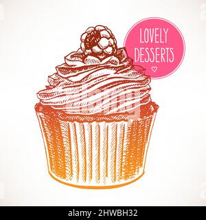 delizioso cupcake con lamponi. illustrazione disegnata a mano Illustrazione Vettoriale