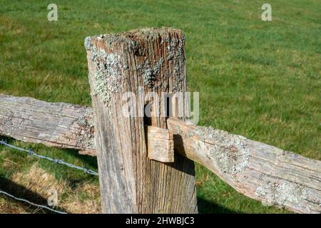 Dettaglio del montante di fissaggio e della recinzione in legno della rotaia che mostra i giunti Foto Stock