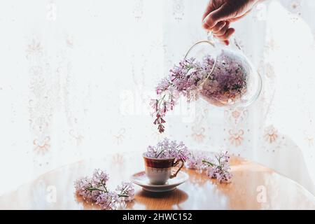 Versare a mano il lilla dalla caraffa, dal recipiente di vetro al piccolo teacup vintage Foto Stock