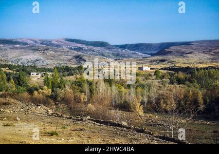 Israele. Vista delle alture del Golan. Fotografato il 1971 dicembre. Foto Stock