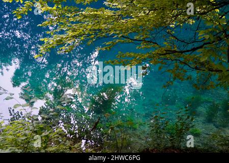 Acque turchesi di Blautopf a Blaubeuren, Germania, in una bella giornata estiva Foto Stock