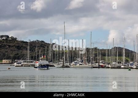 Il Tamar Belle, un traghetto Cremyll che attraversa Hamoaze verso Plymouth. Il traghetto passeggeri fornisce un servizio di linea tutto l'anno tra Devon e C. Foto Stock