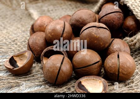 Macadamia. Le noci di macadamia si trovano in un mucchio su un panno grigio ruvido, sbucciate e non pelate nel guscio Foto Stock