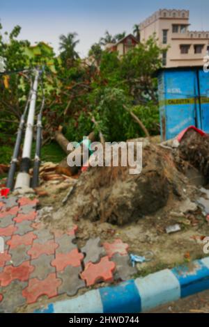 Immagine sfocata di Howrah, Bengala Occidentale, India. Super ciclone Amphan albero sradicato. La forza ha distrutto marciapiedi, lampione e una cabina telefonica. Foto Stock