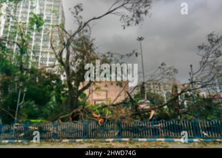 Immagine sfocata di Super ciclone Amphan sradicato albero che cadde a terra. La devastazione ha fatto cadere molti alberi sulla terra. Cambiamenti climatici. Foto Stock