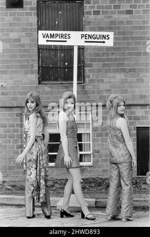 Tre delle attrici della produzione horror Hammer 'The Vampire Lovers' da sinistra a destra: Madeline Smith, Pippa Steel e Janet Key fotografate da un cartello sul loro cammino per filmare il loro prossimo film Forbush e i pinguini agli Elstree Studios.12th Marzo 1970. Didascalia locale *** Maddy Smith Foto Stock