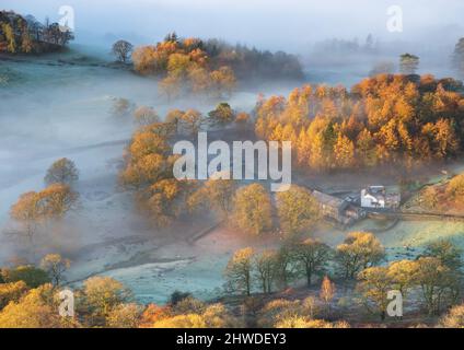 Il paesaggio che circonda Oaks Farm, Great Langdale, è trasformato dalla luce del mattino presto che cattura la nebbia e il gelo in una bella mattinata autunnale. Foto Stock