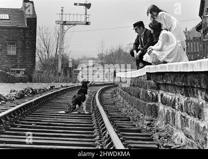 Le telecamere rotolarono, la scena fu impostata e l'azione iniziò quando lungo arrivò Shep. Le collie sedevano nel mezzo della pista mentre "The Railway Children" veniva girato a Haworth, nello Yorkshire. Dopo essere stato Coaxed via il cane è stato guardato dalla polizia locale Sgt. Nelle foto sono Bernard Cribbins, Sally Thomsett e Jenny Agutter che cercano di sguazzare il cane fuori set. 11th maggio 1970. Foto Stock