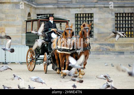 AMSTERDAM - AGOSTO 2011: Carrozza trainata da cavalli circondata da uccelli in Piazza Dam ad Amsterdam, Paesi Bassi, Olanda. Foto Stock