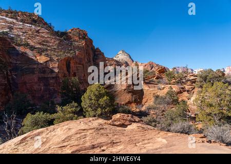 Vista della vegetazione e della natura sui sentieri del Parco Nazionale di Zion Foto Stock
