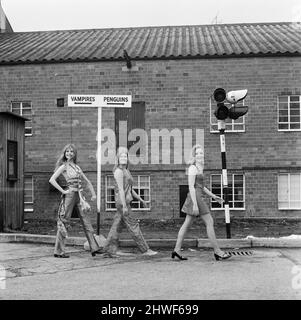 Tre delle attrici nella produzione horror Hammer 'The Vampire Lovers' da sinistra a destra: Madeline Smith, Janet Key e Pippa Steel fotografato passando un cartello sul loro cammino per filmare il loro prossimo film Forbush e i pinguini agli Elstree Studios.12th Marzo 1970. Didascalia locale *** Maddy Smith Foto Stock