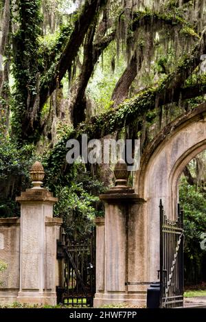 Porta in stile neogotico presso il sito storico Wormsloe a Savannah, Georgia. Foto Stock