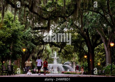 La fontana di Forsyth Park e le querce drappeggiate di muschio spagnolo a Savannah, Georgia. Foto Stock