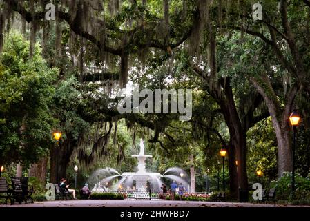 Fontana di Forsyth Park nel Forsyth Park a Savannah, Georgia. Foto Stock