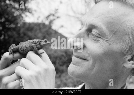 Catweasel e stoats, nuova serie televisiva LWT Children's, protagonista Geoffrey Bayldon come personaggio del titolo Catweasel, un eccentrico mago del 11th secolo che accidentalmente viaggia nel tempo fino all'anno 1969. La nostra foto mostra, Geoffrey Bayldon con la sua famiglia, un rospo chiamato Touchwood, che caratterizza nello spettacolo. Foto Stock