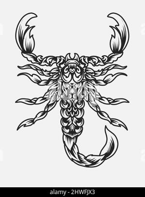 illustrazione del vettore scorpione ornamento stile Illustrazione Vettoriale