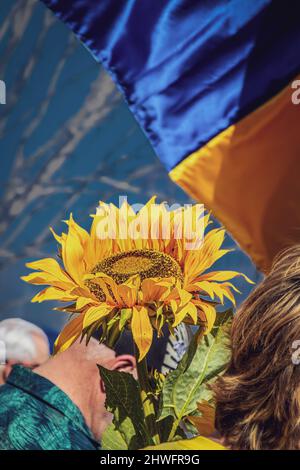 Pregate per l'Ucraina - al rally pro-Ucraina, la gente inchinano la testa in preghiera - la donna tiene girasole giganti e la bandiera offuscata vola dietro di loro - Copia Spac Foto Stock