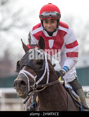 Ozone Park, NY, USA. 5th Mar 2022. 5 marzo 2022: Officiando #3, indetto dal jockey Manny Franco vince la Tom Fool handicap (grado 3) il Gotham Stakes Day all'Aqueduct Racetrack di Ozone Park, N.Y. il 5th marzo 2022. Jason Moran/Eclipse Sportswire/CSM/Alamy Live News Foto Stock