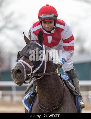 Ozone Park, NY, USA. 5th Mar 2022. 5 marzo 2022: Officiando #3, indetto dal jockey Manny Franco vince la Tom Fool handicap (grado 3) il Gotham Stakes Day all'Aqueduct Racetrack di Ozone Park, N.Y. il 5th marzo 2022. Jason Moran/Eclipse Sportswire/CSM/Alamy Live News Foto Stock