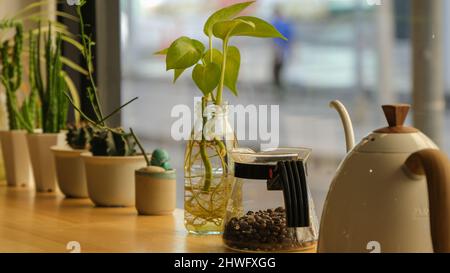 Teiera, chicchi di caffè e piante in un caffè a Bangkok, Thailandia Foto Stock