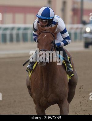 Ozone Park, NY, USA. 5th Mar 2022. 5 marzo 2022: Venti Valentine #3 ridden by jockey Manny Franco vince il Busher Invitational Stakes il giorno di Gotham Stakes all'Aqueduct Racetrack di Ozone Park, N.Y. il 5th marzo 2022. Jason Moran/Eclipse Sportswire/CSM/Alamy Live News Foto Stock