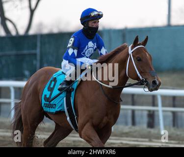 Ozone Park, NY, USA. 5th Mar 2022. 5 marzo 2022: Morello #9, cavalcato dal jockey Jose Lezcano vince il Gotham Stakes (grado 3) all'Aqueduct Racetrack di Ozone Park, N.Y. il 5th marzo 2022. Jason Moran/Eclipse Sportswire/CSM/Alamy Live News Foto Stock