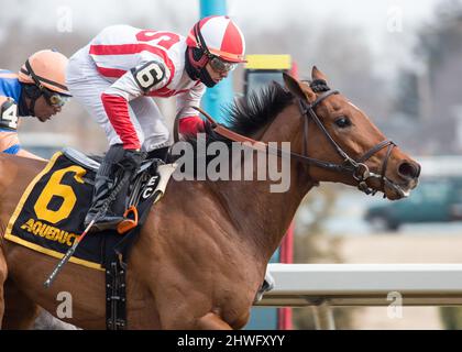 Ozone Park, NY, USA. 5th Mar 2022. 5 marzo 2022: Electability #6, indovinata dal jockey Manny Franco vince una prima gara speciale di pesi nel Gotham Stakes Day all'Aqueduct Racetrack di Ozone Park, N.Y. il 5th marzo 2022. Jason Moran/Eclipse Sportswire/CSM/Alamy Live News Foto Stock