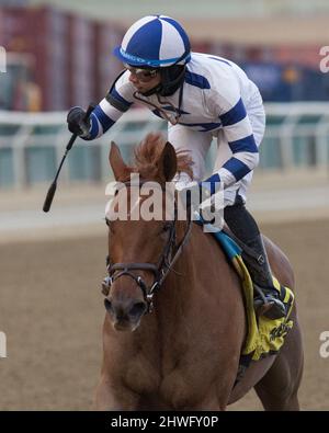 Ozone Park, NY, USA. 5th Mar 2022. 5 marzo 2022: Venti Valentine #3 ridden by jockey Manny Franco vince il Busher Invitational Stakes il giorno di Gotham Stakes all'Aqueduct Racetrack di Ozone Park, N.Y. il 5th marzo 2022. Jason Moran/Eclipse Sportswire/CSM/Alamy Live News Foto Stock