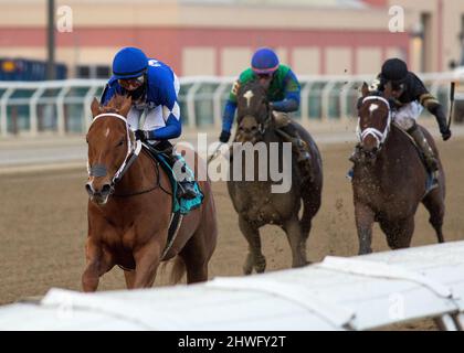 Ozone Park, NY, USA. 5th Mar 2022. 5 marzo 2022: Morello #9, cavalcato dal jockey Jose Lezcano vince il Gotham Stakes (grado 3) all'Aqueduct Racetrack di Ozone Park, N.Y. il 5th marzo 2022. Jason Moran/Eclipse Sportswire/CSM/Alamy Live News Foto Stock