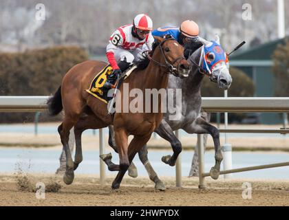 Ozone Park, NY, USA. 5th Mar 2022. 5 marzo 2022: Electability #6, indovinata dal jockey Manny Franco vince una prima gara speciale di pesi nel Gotham Stakes Day all'Aqueduct Racetrack di Ozone Park, N.Y. il 5th marzo 2022. Jason Moran/Eclipse Sportswire/CSM/Alamy Live News Foto Stock