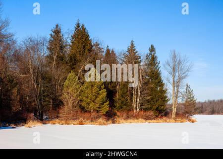 229 acri di lago Brady's ricoperto di ghiaccio durante l'inverno nelle Pocono Mountains della Pennsylvania. Foto Stock