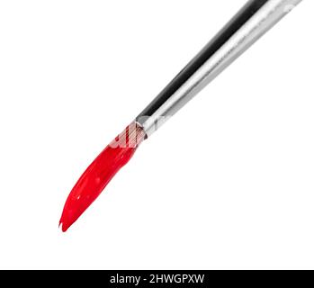 Tema artistico e artigianale che mostra una punta di pennello riempita di vernice rossa nella parte posteriore bianca Foto Stock