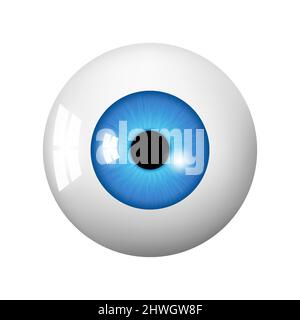 Bulbo oculare umano. Occhio con blu brillante, illustrazione della sfera dell'occhio. Illustrazione vettoriale realistica a 3D isolati su sfondo bianco Illustrazione Vettoriale