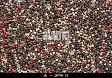 Fondo misto di grani di pepe. Grani di pepe colorati diversi, vista dall'alto, full frame ad alta risoluzione Foto Stock