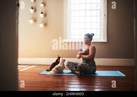 Non disturbiamo la mummia mentre meditiamo. Scatto di una giovane donna meditando su un tappeto yoga accanto ai suoi cani a casa. Foto Stock