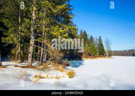 229 acri di lago Brady's ricoperto di ghiaccio durante l'inverno nelle Pocono Mountains della Pennsylvania. Foto Stock