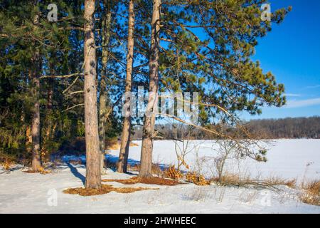 229 acri di lago Brady's ricoperto di ghiaccio durante l'inverno nelle Pocono Mountains della Pennsylvania. Foto Stock