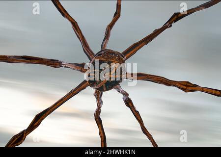 Opera scultorea chiamata 'MAMa' dall'artista Louise Bourgeois situato nel Museo Guggenheim di Bilbao Foto Stock