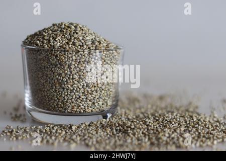 Bajra è un nome hindi tradizionale per il glaucum Pennisetum raccolto anche noto come miglio perla. Il grano è cresciuto primariamente in Africa e India, dove Foto Stock