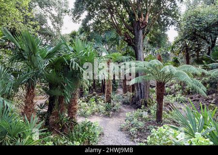 Il Fern Dell and Pets Cemetery all'angolo dei giardini formali del Monte Edgcumbe Estate sulla Rame Penisula nella Cornovaglia sud-orientale Foto Stock