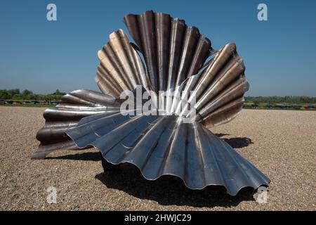 Shell sulla spiaggia di Aldeburgh Foto Stock