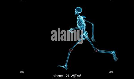 Scheletro umano in esecuzione con luce rossa al ginocchio, articolazione del ginocchio dell'osteoartrite durante il funzionamento del concetto, 3D rappresentazione dell'illustrazione Foto Stock